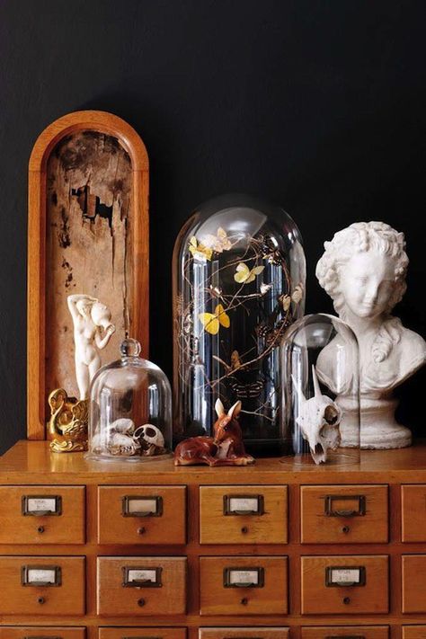 Cabinet Of Curiosity, Cabinet Of Curiosities, Glass Domes, Ikea Hack, Wasting Time, 인테리어 디자인, Victorian Homes, My Dream Home, Design Interior