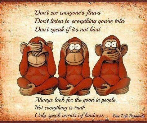 Don’t see everyone’s flaws, Don’t listen to everything you’re told, Don’t speak if it’s not kind, Always look for the good in people, Not everything is truth, Only speak words of kindness . #quotes Three Monkeys, Three Wise Monkeys, Life Image, Wise Monkeys, See No Evil, Don't Speak, Spoken Word, Monkeys, The Words