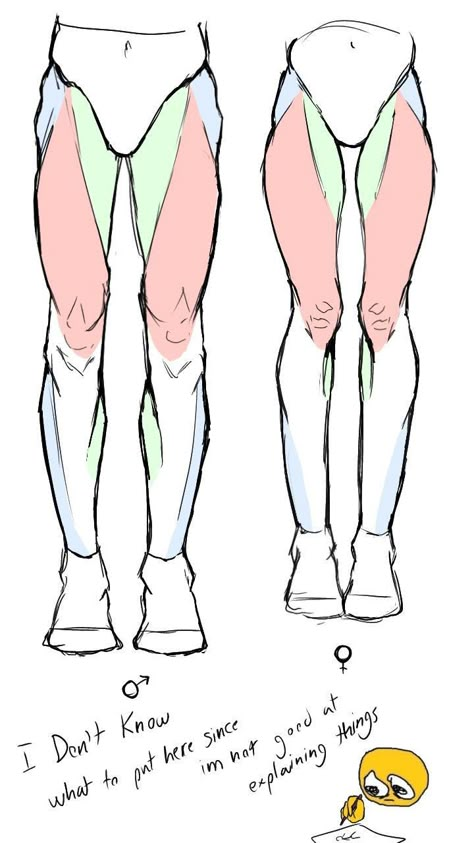 Human Anatomy Art Practice, Legs Sketch Male, Leg Practice Drawing, Leg Tutorial Drawing Art Reference, Lower Body Reference Drawing, Lower Body Anatomy Reference, Leg Proportions Drawing, Hip Dip Reference Drawing, Human Leg Anatomy Reference