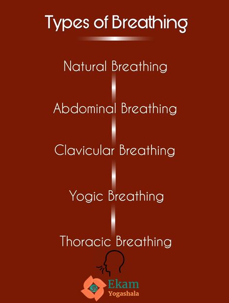 Breathing Tips And Techniques For yoga breathing exercises for beginners Abdominal Breathing, Pranayama Meditation, Yoga Breathing Exercises, Yoga Breathing Techniques, Restorative Yoga Poses, Yoga Guru, Breath Work, Health Infographics, Yoga Breathing