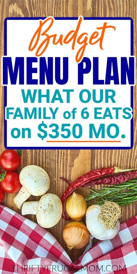 $350 MONTH BUDGET MENU PLAN FOR OUR FAMILY OF 6 (MENU #51) Budget Meal Planning 2023, Weekly Budget Meal Plan Families, Budget Meal Planning Family Of 5, Family Of 5 Food Budget Meal Ideas, Month Menu Plan Families, Cheap Monthly Meal Plan Family Of 4, Homemade Frappe, Month Budget, Frugal Meal Planning