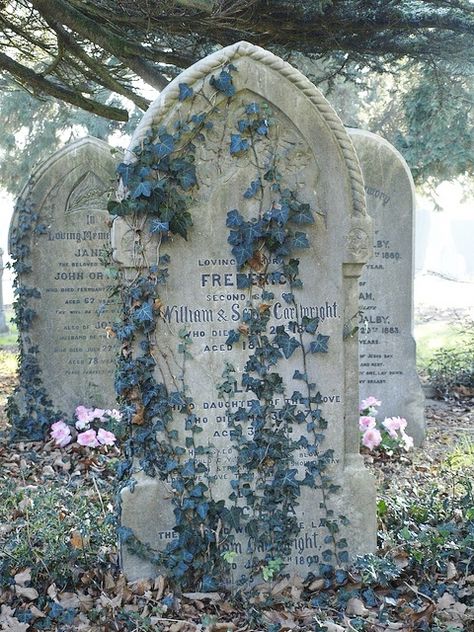 . Old Cemetery, Baba Jaga, Cemetery Headstones, Between Two Worlds, Old Cemeteries, Cemetery Art, Six Feet Under, Tombstone, Abandoned Places