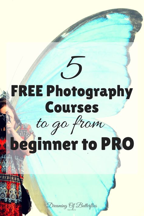 Free Photography Courses, Digital Photography Lessons, Dslr Photography Tips, Fotografi Digital, Nikon D7000, Creative Photography Techniques, Photography Help, Dslr Photography, Photography Basics