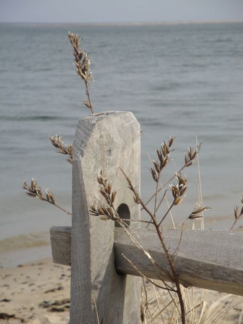 Coastal Country Decor, Houses In France, Cottage By The Sea, Seaside Cottage, Coastal Life, Ocean Vibes, Relax Time, Beach Cottages, Coastal Living