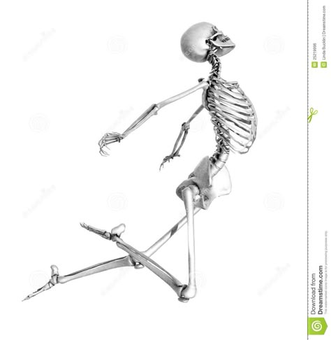 Drawing Movement, Skeleton Poses, Skeleton Memes, How To Draw Human, Human Skeleton Anatomy, Skeleton Drawing, Fly Drawing, Scary Halloween Decorations Outdoor, Skeleton Anatomy