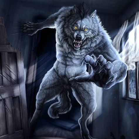 I Am The Alpha, Werewolf Illustration, Wolf Meme, Female Werewolves, Alpha Werewolf, Thats Me, The Werewolf, Wolf Images, Alpha Wolf