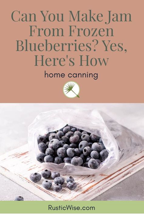 Blueberry Recipes Canning, Wild Plum Jelly Recipe, Blueberry Freezer Jam, Frozen Blueberry Recipes, Easy Jam Recipe, Fruit Jam Recipes, Frozen Fruit Recipes, Canning Jam Recipes, Make Jam