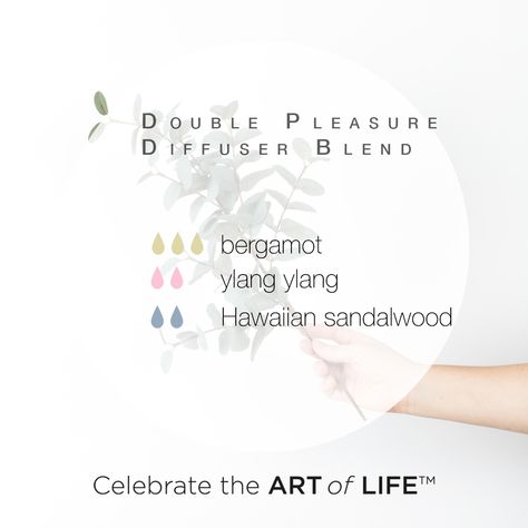 Hawaiian Sandalwood Diffuser Blends, Sandalwood Diffuser Blends, Aphrodisiac Essential Oils, Natural Aphrodisiac, Essential Oil Aphrodisiac, Eo Blends, Young Living Recipes, The Art Of Life, The Circulatory System