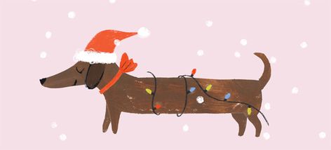 Daschund Christmas Card, Christmas Dashound, Dog Christmas Illustration, Christmas Dog Drawing, Christmas Weiner Dog, Weiner Dog Christmas, Dachshund Christmas Cards, Christmas Sausage Dog, Dachshund Wallpaper