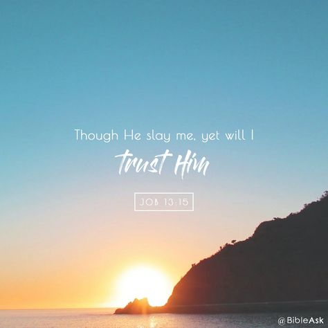 Though He Slay Me Yet Will I Trust Him, Job Bible, Throne Of Grace, Job Quotes, Verses Quotes, I Trust, Bible Verses Quotes Inspirational, Bible Prayers, Daily Bible Verse