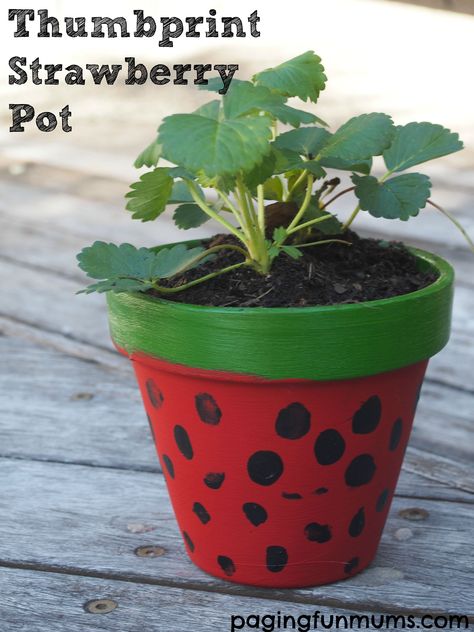 Strawberry Crafts, Strawberry Pots, Painted Pot, Project For Kids, Class Gift, Creative Gardening, Diy Garden Projects, Painted Pots, Gardening For Kids