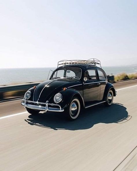 Beatle Car Volkswagen Vintage, Beatle Car Volkswagen, Beetle Car Volkswagen, Car Beetle, Volkswagen Vintage, Volkswagen Beatle, Classic Volkswagen Beetle, Beetle Volkswagen, Volkswagen Beetle Vintage