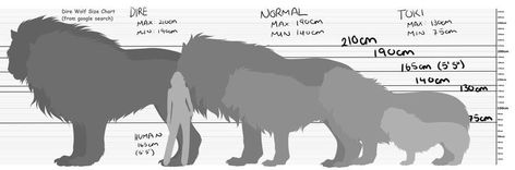 Dire Wolf Drawing, Wolf Drawing Anime, Wolf Size, Wolf Rider, Wolf Art Fantasy, Werewolf Stories, Medieval Romance, Fantasy Wolf, Dire Wolf