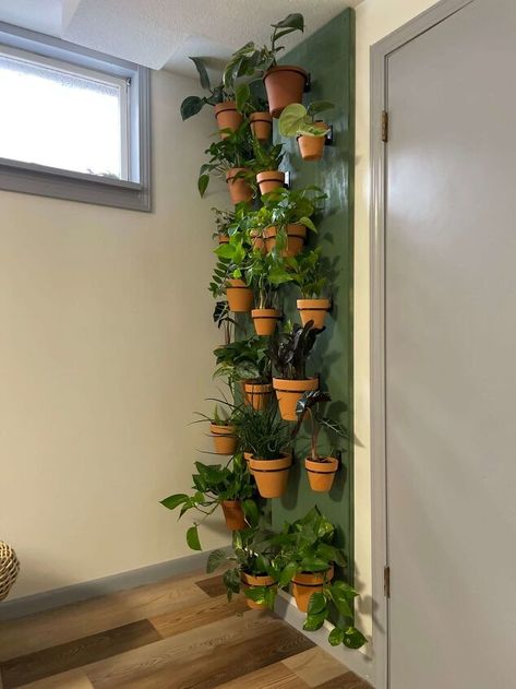 Shelf Hanging Ideas, Indoor Plant Shelf Ideas, Plant Wall Decor Ideas, Painted Wall Design, Diy Plant Wall, Room Plants Decor, Outdoor Patio Wall, Wallpaper Wall Design, Indoor Plant Shelf