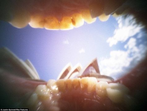 'Sydney Opera House': Photographer Justin Quinnell has travelled the world with his pinhol... Justin Quinnell, Mouth Photography, Miniature Camera, Pinhole Photography, Inside Man, Pinhole Camera, Video Photography, Book Cover Design, Texture Art