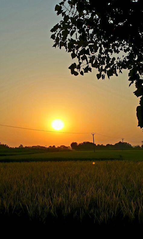 Sunset In Village Photography, Good Morning Village Nature Images, Village Morning Snap, Village Morning Photography, Sun Rise Pictures Mornings, Village Snap, Snap Morning, Wall Pepar, Cartoons Krishna