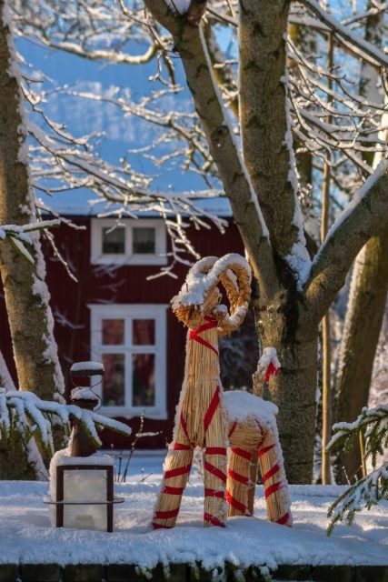 Yule Alter, Tradition Aesthetic, Yule Pagan, Pagan Aesthetic, Yule Traditions, Viking Christmas, Pagan Christmas, Yule Goat, Pagan Yule