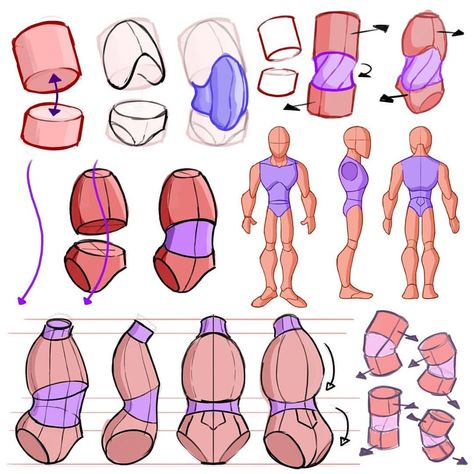 The torso is really important when youre drawing a character. In this post I broke it a bit down. Working on some new tutorials for my… Torso Turnaround, Anatomy Tutorial, Human Anatomy Drawing, Body Sketches, Body Drawing Tutorial, Human Figure Drawing, Human Anatomy Art, Anatomy Sketches, Anatomy For Artists