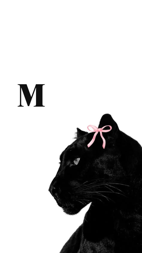 Wallpaper with initial M Glamour Wallpaper, Panther Pictures, Citate Harry Potter, Leopard Print Wallpaper, M Wallpaper, Tiger Wallpaper, Initial M, Floral Wallpaper Iphone, Cartoon Character Pictures