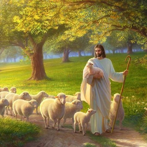 Jesus With Sheep, Pictures Of Jesus, Jesus The Good Shepherd, Christ The Good Shepherd, Jesus Christ Painting, Jesus Artwork, Pictures Of Christ, Jesus And Mary Pictures, Jesus Photo