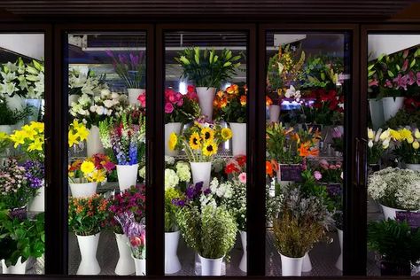 Floral Refrigerator is an important piece of equipment that you should invest in your flower shop. However, not… Shop Fridge, Commercial Fridge, Display Fridge, Flower Cafe, Cheap Flowers, Shop Illustration, Grey Paint, Grey Paint Colors, Flower Stand