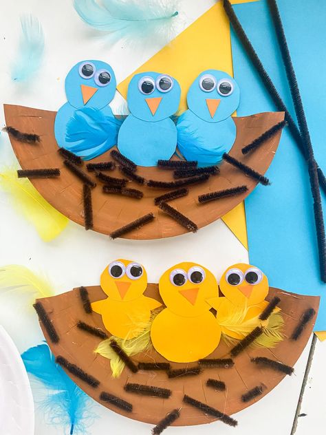 19 EASY Bird Crafts for Kids (2023) - ABCDee Learning Bird Crafts For Kids, Bird Crafts Preschool, Bird Nest Craft, Crafts 2024, Nest Art, Easy Bird, Animal Craft, Vbs 2024, Popular Crafts