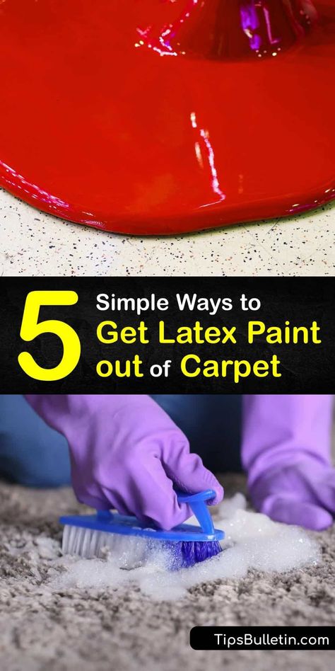 Remove Paint From Carpet, Paint Out Of Carpet, Stains Out Of Carpet, Cleaning Apartment, Paint Carpet, How To Remove Paint, Cleaning Office, Painting Jeans, Carpet Cleaner Solution