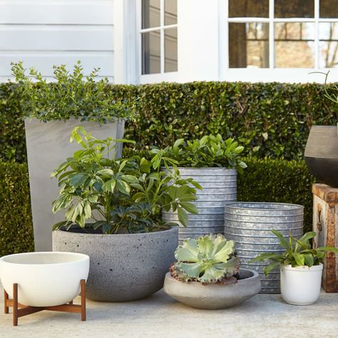 Simple Garden Designs, Ceramics Bowl, Big Pots, Plant Pot Design, Planting Pots, Beach Place, Minimalist Garden, Pots And Planters, Hanging Plants Indoor