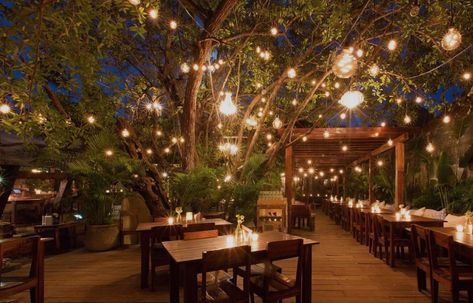 Backyard Restaurant, Outdoor Restaurant Patio, Café Design, Outdoor Restaurant Design, Decoration Restaurant, Restaurant Patio, Modern Mexican, Outdoor Cafe, Outside Patio