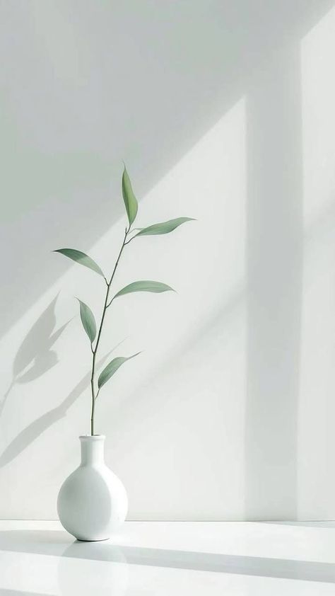 Zen Aesthetic Art, White And Green Aesthetic Background, Professional Wallpaper Iphone, Light Green And White Aesthetic, Minimalist Background Aesthetic, Hd Minimalist Wallpaper, Minimalistic Wallpaper Aesthetic, Minimal Photography Ideas, Minimal Wallpaper Aesthetic