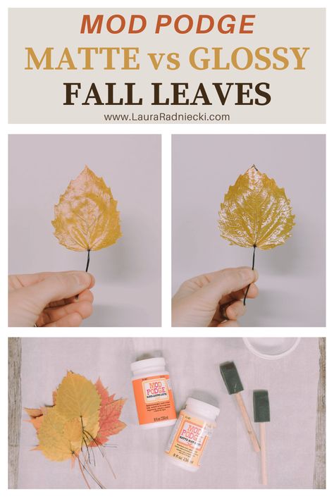 Mod Podge Leaves, Leaf Modge Podge, Preserve Leaves Mod Podge, Wax Leaves Fall Crafts, Modge Podge Leaf Bowl, Preserving Leaves Wax Paper, Preserving Leaves Mod Podge, Thanksgiving Crafts Decorations, Mod Podge Matte