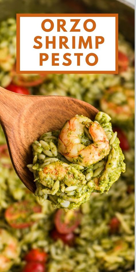 Wood spoon full of pesto shrimp orzo pasta over a pot of orzo. Shrimp Pesto Orzo, Pesto With Shrimp And Pasta, Pesto Orzo Recipes, Pesto Rice Recipes, Pesto Pasta With Shrimp, Orzo With Shrimp, Orzo Pesto, Pesto Shrimp Pasta, Pesto Orzo