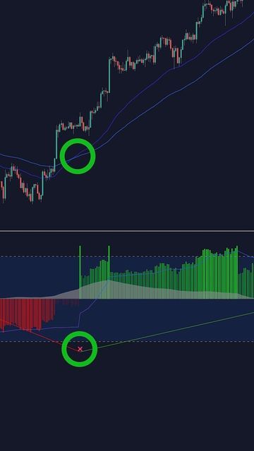 Lux Algo™ on Instagram: "Easy EMA Scalping Strategy 📈 Just a small taste of our 50+ free “LUX” indicators on TradingView (All open-source code 📈❤️) Search “LUX” in the TradingView indicators tab & find the indicator for free access. Follow us for more & go to LuxAlgo.com for access to our Lux Algo Premium indicators! 🚀 . #daytrading #stocks #crypto #forex #daytrader #trending #luxalgo #tradingview #education #learning #bse #nifty50 #investing #investments #niftyfifty #chartpatterns #pricea Gold Trading, Stock Market Basics, Stock Chart Patterns, Online Stock Trading, Risk Management Strategies, Crypto Money, Trading Quotes, Fundamental Analysis, Trading Charts