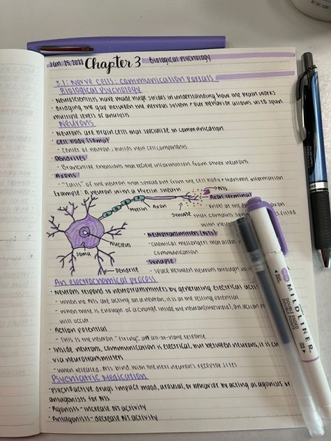 Neuron Notes Aesthetic, Surds Notes, Study Guide Aesthetic, Notes For Biology, Notes Inspo, Psychology Notes, Nursing School Motivation, School Study Ideas, Nurse Study Notes