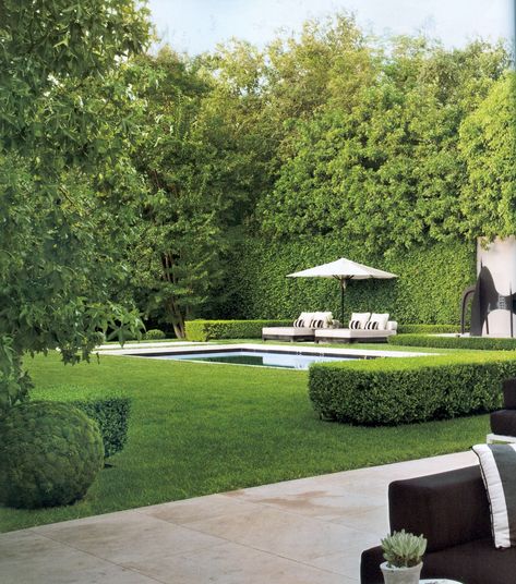 Very private backyard with open grass area and pool Formal Garden Design, Dream Pools, Garden Pool, Pool Landscaping, Pool Patio, Pool Area, Pool Houses, Design Case, Backyard Pool