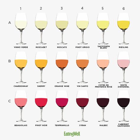 What You Should Know About Your Favorite Wine Wine Chart, Pinot Noir Grapes, Fruity Wine, Wine Variety, Wine Flavors, Homebrew Recipes, Orange Wine, Home Brewing Beer, Pinot Gris