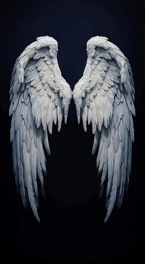 Fantasy Angel Wings, Angel Wings Aesthetic, Angel Wings Photography, Angel Wings Illustration, Angel Wings Art, Wings Wallpaper, Black Angel Wings, White Angel Wings, Angels Wings