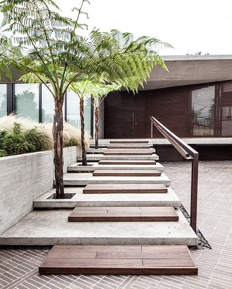 by architecturenow Landscape Stairs, Garden Stairs, Exterior Stairs, Concrete Stairs, Outdoor Steps, Garden Steps, Outdoor Stairs, Casa Exterior, Modern Backyard