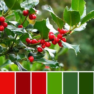 Color palette inspiration.  Plus Kona Ash. Christmas Palette, Colours That Go Together, Christmas Color Palette, Red Colour Palette, Color Combinations For Clothes, Color Schemes Colour Palettes, Christmas Color, Color Palette Design, Color Psychology