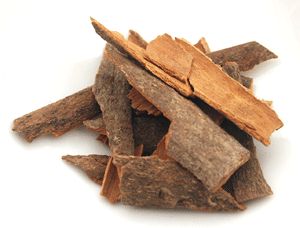 Mauby bark....looks like regular bark right?  Boiled the right way, it makes a DELICIOUS- well unusual drink! Bajan Recipe, Cassia Essential Oil, Trini Food, Caribbean Cuisine, Caribbean Recipes, Tree Bark, West Indies, Made Goods, Yummy Drinks