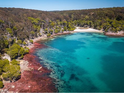 Pambula Beach, Oyster Festival, South Coast Nsw, Camping Site, Glamping Tents, Camping Sites, Best Campgrounds, Hidden Beach, Camping Glamping