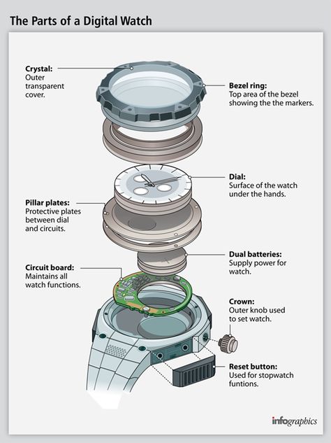 Infographics Architecture, Watch Anatomy, Watch Knowledge, Product Exploded View, Watch Sketch Design Illustrations, Watch Exploded View, Watch Exploded View Sketch, Watch Blueprint, Watch Concept Design