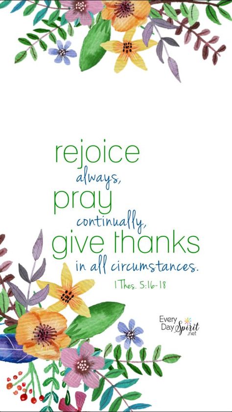 Work on the disciple of gratitude today. It will transform your day. Give Thanks In All Circumstances, God's Help, Always Pray, 1 Thessalonians 5 16, Pray Continually, Rejoice Always, 1 Thessalonians 5, Ayat Alkitab, 1 Thessalonians