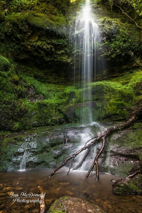 Craigie Linn is a 8 meter high waterfall in Gleniffer Braes Country Park. Its formed by the glen burn a tributary of the white cart which also gives its name to the glen park and glenburn housing scheme in paisley Woodland Glade, Ricketts Glen State Park, Glade Creek Grist Mill, Glen Finnan Viaduct, Fairy Bridge Glen Creran, Country Park, Days Out, Scotland, Photography Inspiration