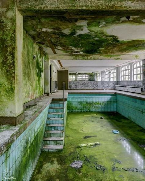 The green pool 🏊‍♀️ All Cheerleaders Die, Abandoned Water Parks, Mini Swimming Pool, Swimming Dress, Creepy Old Houses, Swim Skirts, Dress Online Shopping, Swimming Wear, Green Pool