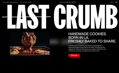 Siteinspire | Last Crumb The Last Crumb Cookies, Cat Crumb, Robert Crumb Sketchbook, Robert Crumb Comics, Last Crumb, Freshly Baked, Cafe Restaurant, Frozen Yogurt, Start Up