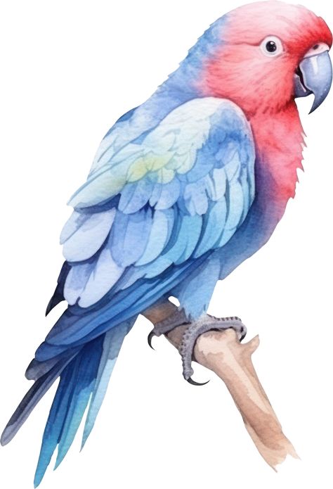 Parrot Bird Watercolor Illustration. AI Generated Parrot Watercolor, Bird Watercolor Paintings, Bird Watercolor, Parrot Bird, Bird Pictures, Watercolor Bird, Birds Painting, Love Birds, Bird Art