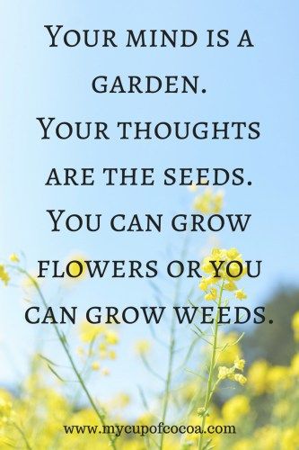 Your Mind Is A Garden Quote, Focus On Positivity, Your Mind Is A Powerful Thing, Words Matter Quote, What Matters Quotes, Mind Over Matter Quotes, Whats On Your Mind, Therapy Garden, Your Mind Is A Garden