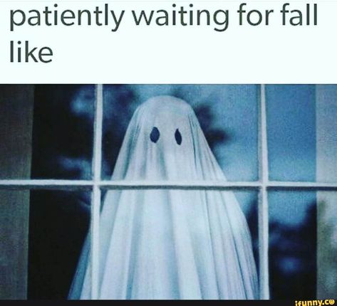 patiently waiting for fall like – popular memes on the site iFunny.co #seasons #animalsnature #patiently #waiting #fall #pic Waiting For Fall, Halloween Rules, Fall Sayings, Spooky Memes, October Country, Fall Memes, Halloween Jokes, Horror Fanatic, Halloween Memes