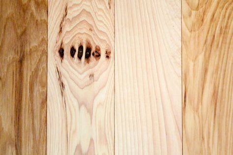 What To Know About Hickory Wood Stationary Table, Hickory Wood Floors, Floor Stain Colors, Wood Floor Stain Colors, Squeaky Floors, Hanging Drywall, Hickory Tree, Hickory Hardwood Floors, Hickory Flooring